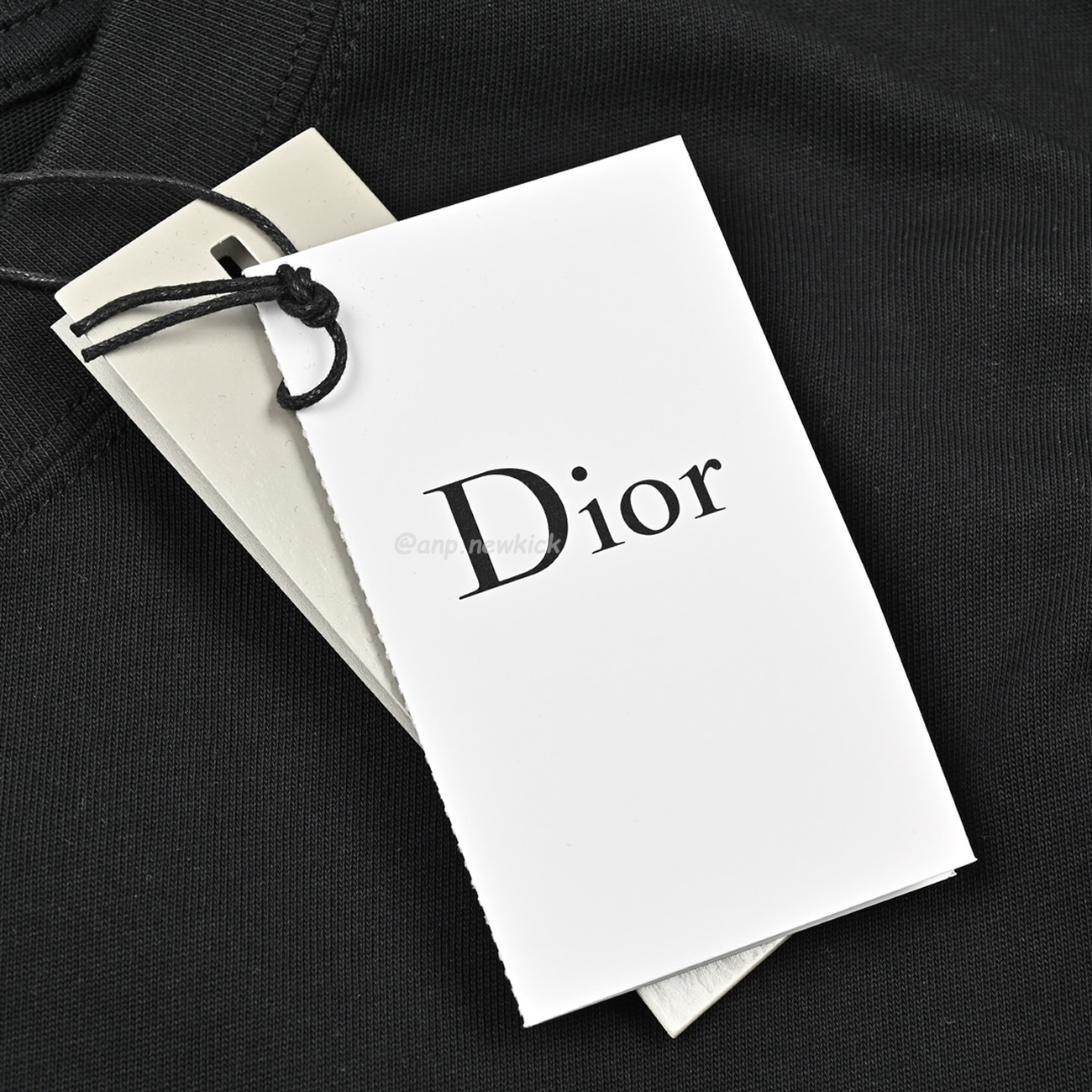 Dior 24ss Pin Logo Contrasting Embroidered Short Sleeved T Shirt (7) - newkick.app